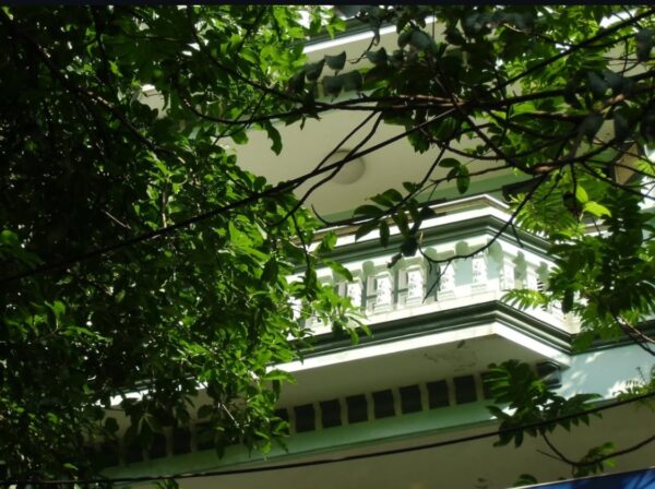 CASIO - Image 9