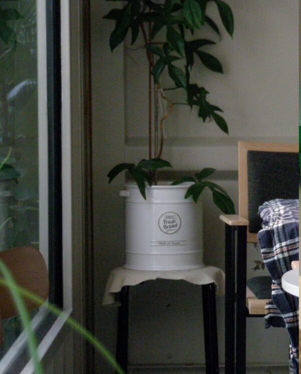 OLYMPUS - Image 3