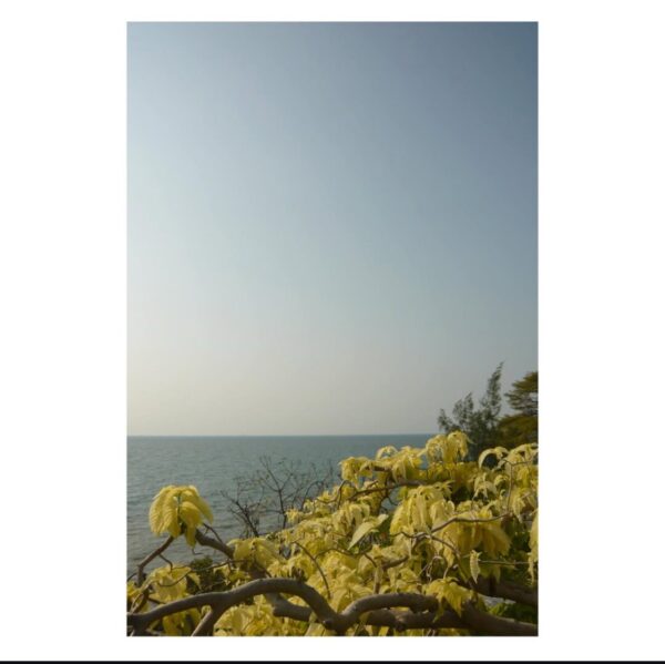 LUMIX - Image 14