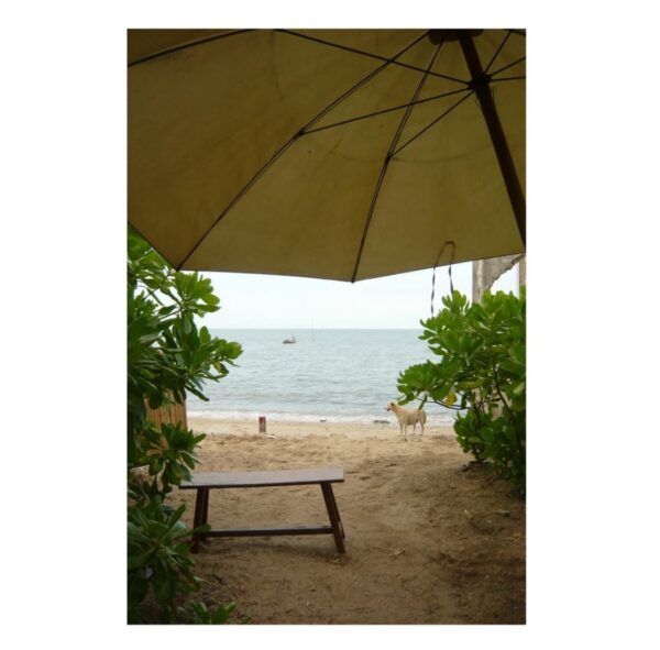 LUMIX - Image 7