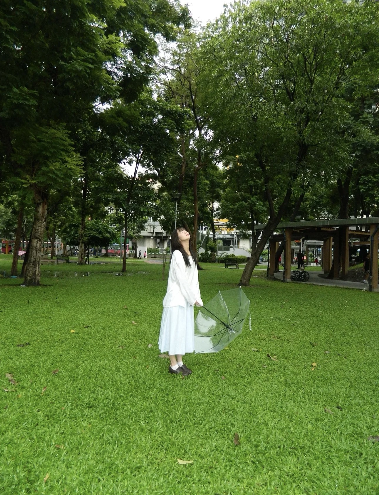 NIKON - Image 3