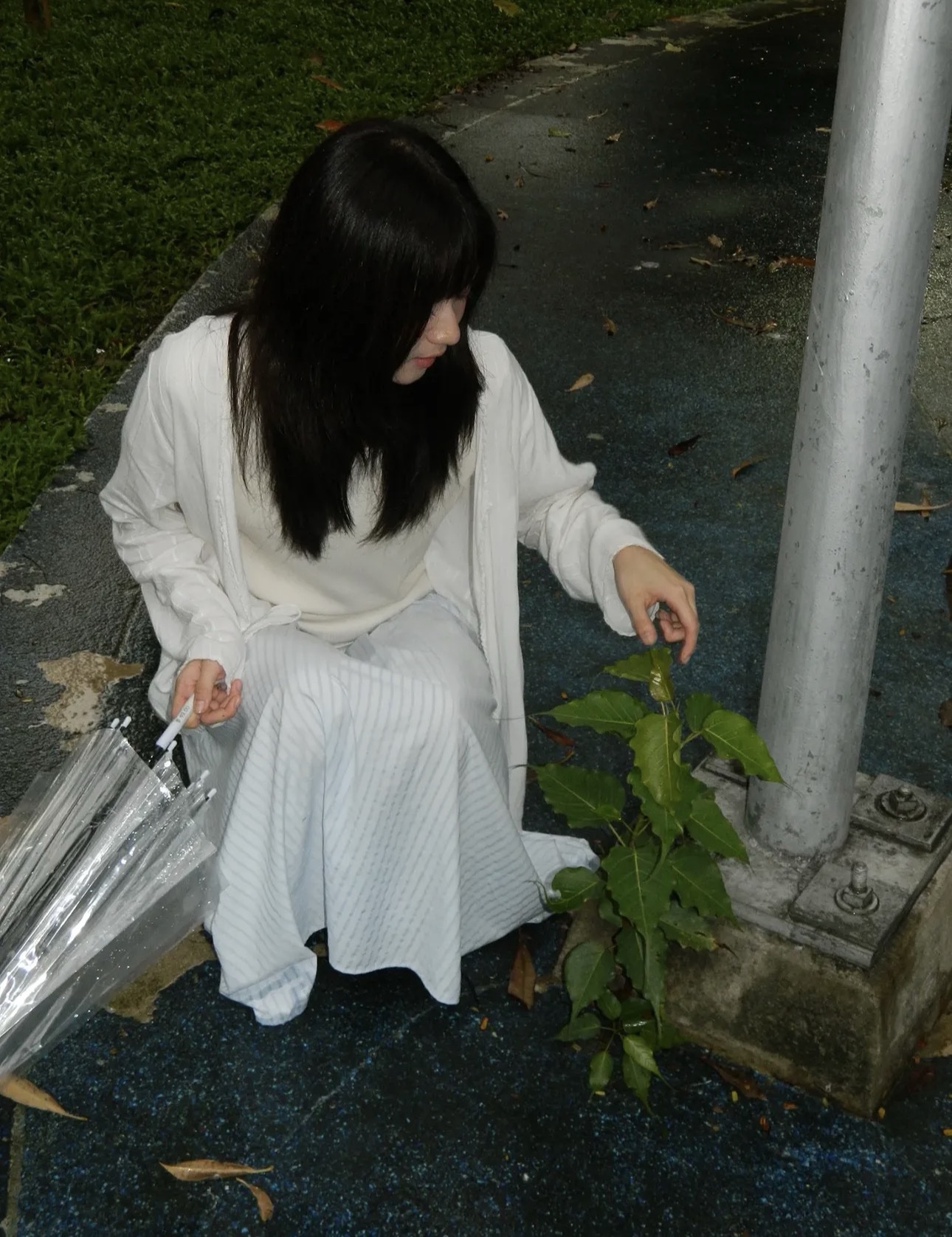 NIKON - Image 4
