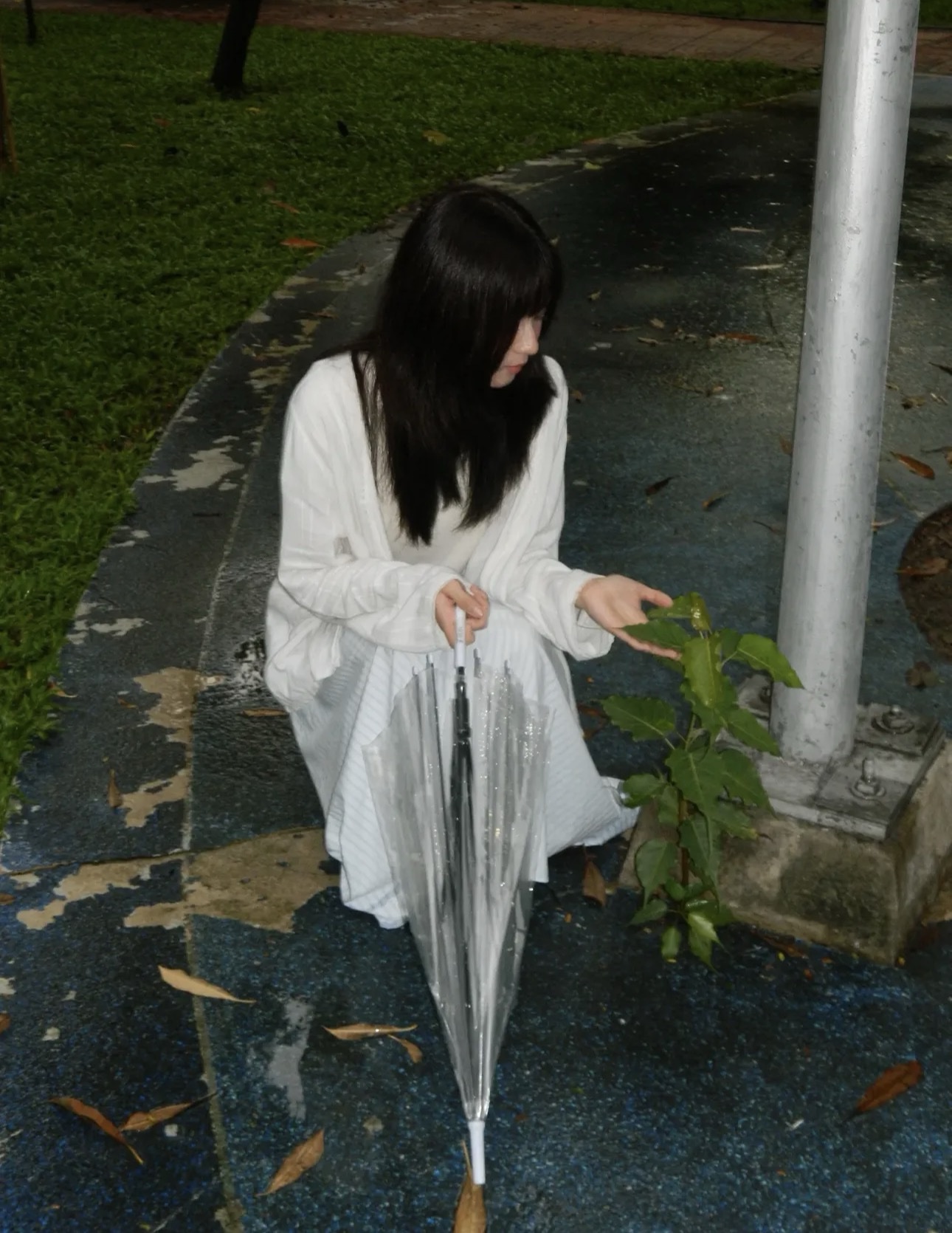 NIKON - Image 7